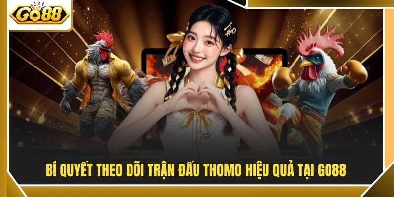 Đá Gà Thomo - Đấu Trường Campuchia Kịch Tính Bậc Nhất 4 Bí quyết theo dõi trận đấu Thomo hiệu quả tại GO88