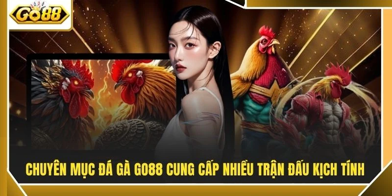 Chuyên mục đá gà GO88 cung cấp nhiều trận đấu kịch tính