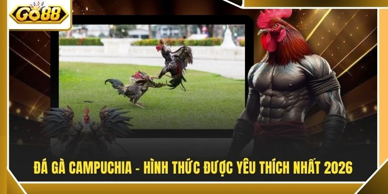Đá gà Campuchia - Hình thức được yêu thích nhất 2026