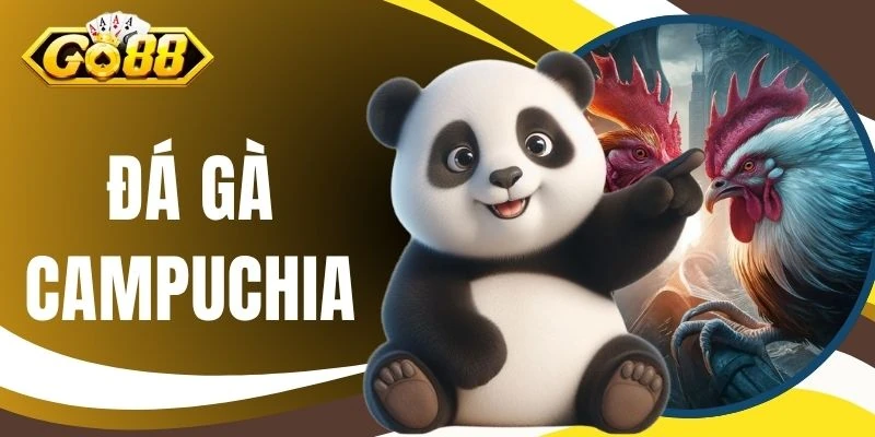 Đá Gà Campuchia - Trực Tiếp Hình Ảnh Full HD, Sắc Nét