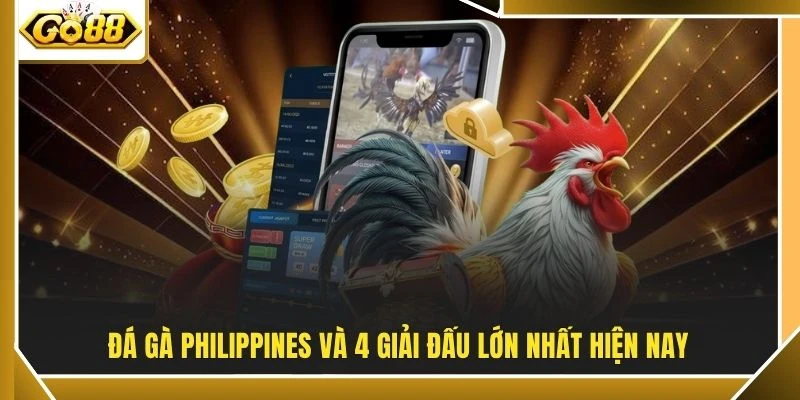Đá Gà Philippines - Cung Cấp Hình Ảnh Đấu Trường Sắc Nét 3 Đá gà Philippines và 4 giải đấu lớn nhất hiện nay