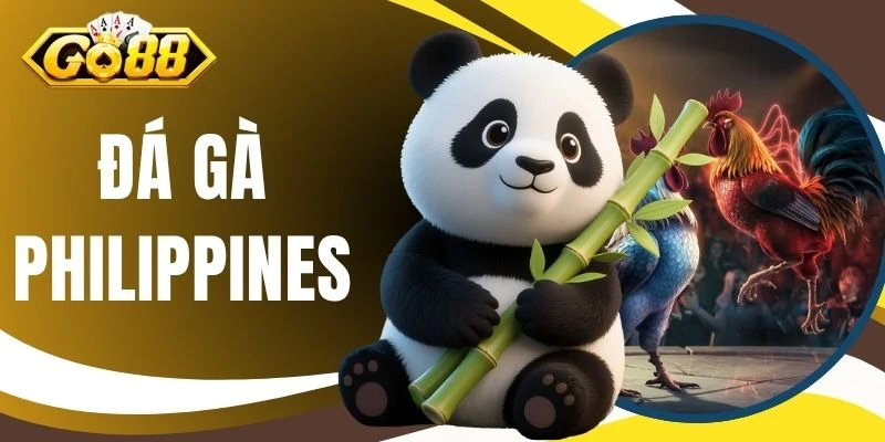 Đá Gà Philippines - Cung Cấp Hình Ảnh Đấu Trường Sắc Nét 1 Đá Gà Philippines - Cung Cấp Hình Ảnh Đấu Trường Sắc Nét