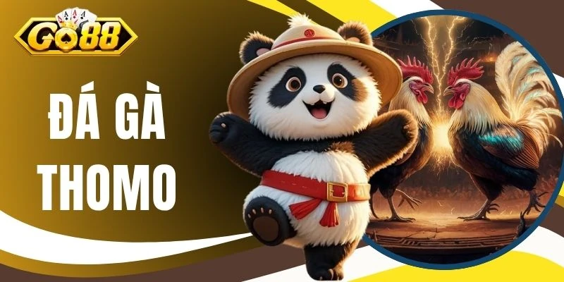 Đá Gà Thomo - Đấu Trường Campuchia Kịch Tính Bậc Nhất 1 Đá Gà Thomo - Đấu Trường Campuchia Kịch Tính Bậc Nhất