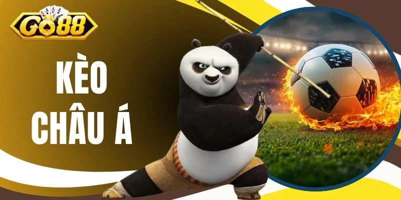 Kèo Châu Á Là Gì? 5 Thuật Ngữ Cần Nắm Khi Theo Dõi