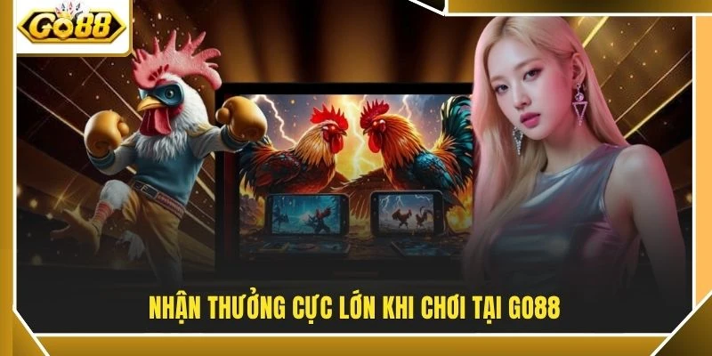 Đá Gà Philippines - Cung Cấp Hình Ảnh Đấu Trường Sắc Nét 2 Nhận thưởng cực lớn khi chơi tại GO88