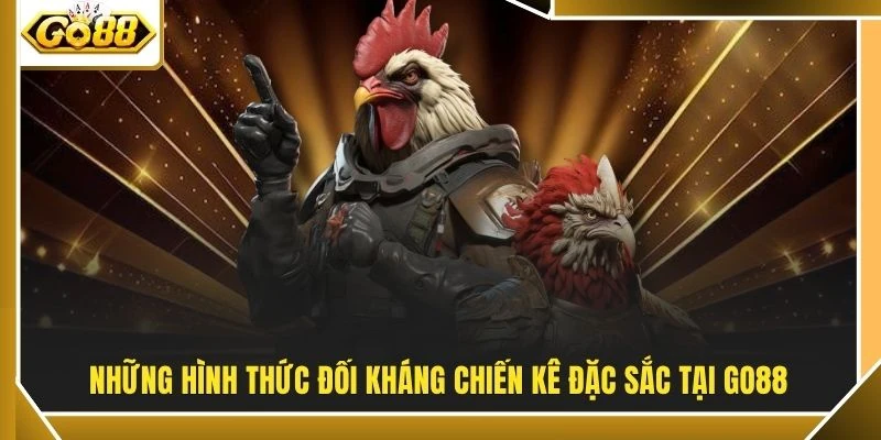 Những hình thức đối kháng chiến kê đặc sắc tại GO88